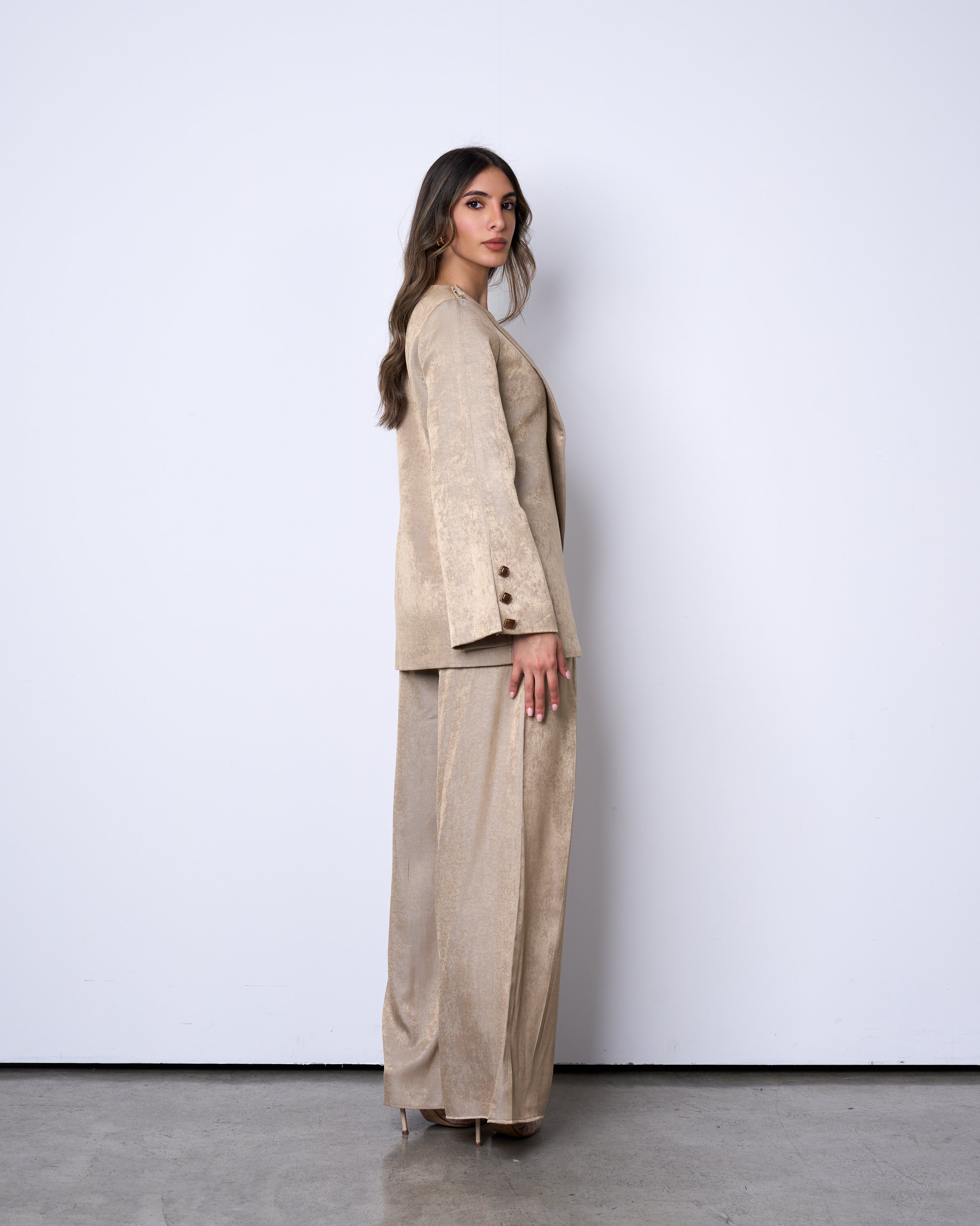 Champagne Beige Suit